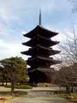 201003021.jpg