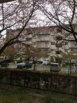 201404161.jpg